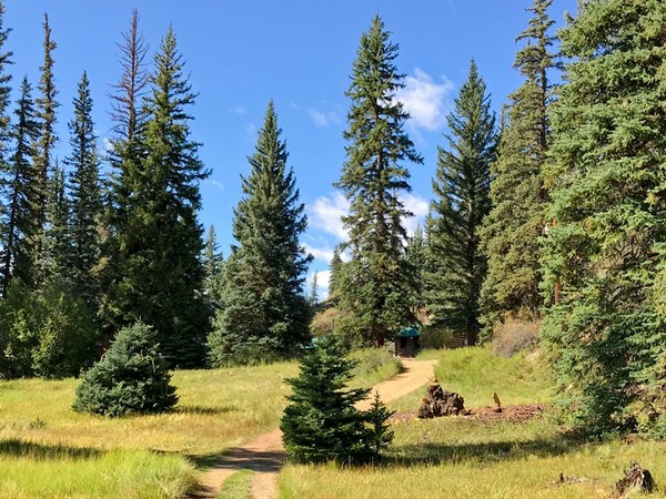 Across River Cabins Pet Friendly Photo 2